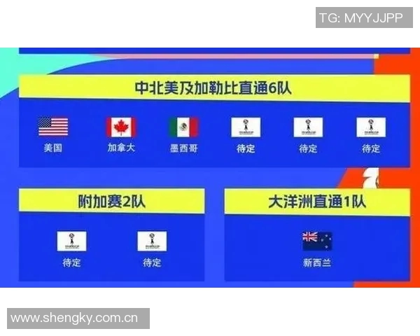 世界杯参赛队伍已定28支亚非直通名额全部确认 世界杯参赛队伍已定28支亚非直通名额全部确认